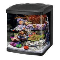 Coralife LED BioCube 16 Aquarium Kit Black 15" x 16.75" x 17.5"