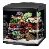 Coralife LED BioCube 32 Aquarium Kit 20.25" x 21.875" x 21.5"