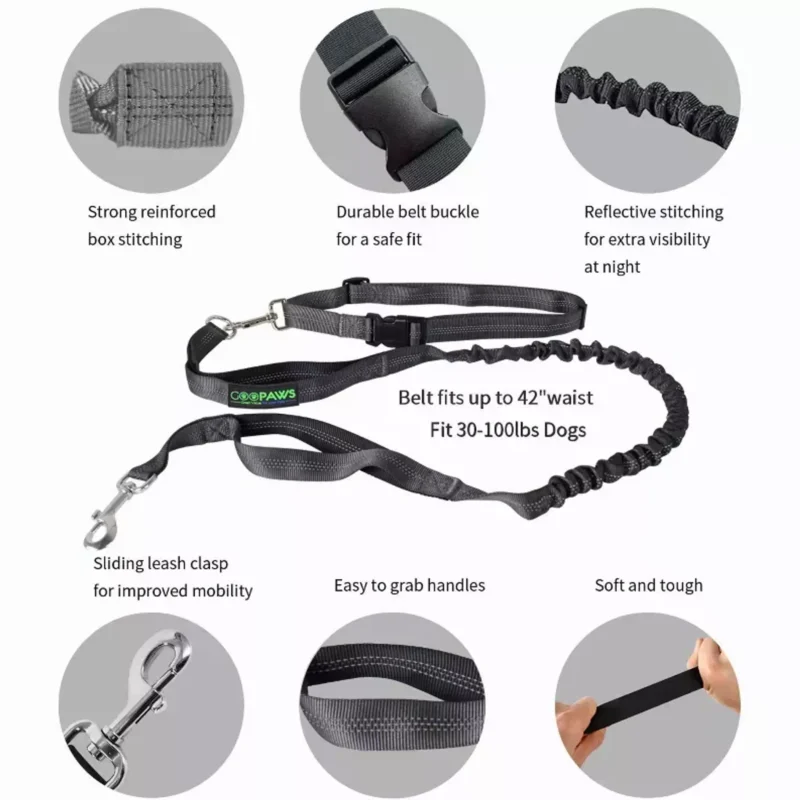 Pettz Hands-Free Adjustable Dog Leash – Waist Belt for Running & Walking