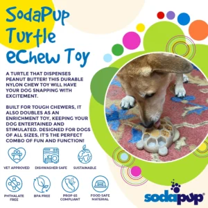 Pettz Ultra-Durable Turtle Nylon Chew Toy – Tough Teething & Enrichment