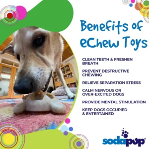 Pettz Ultra-Durable Turtle Nylon Chew Toy – Tough Teething & Enrichment