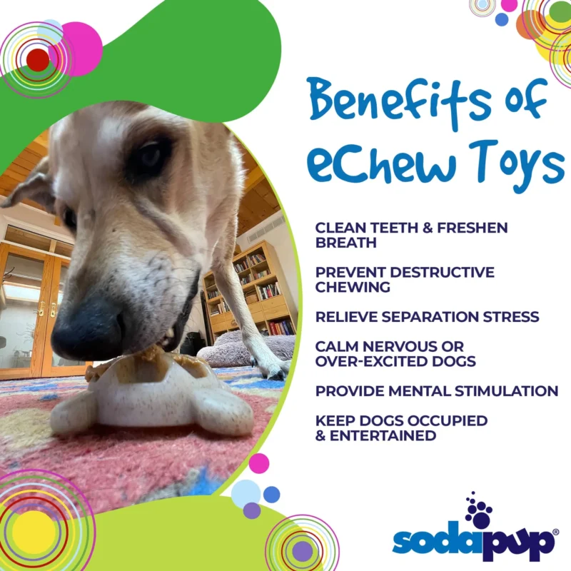 Pettz Ultra-Durable Turtle Nylon Chew Toy – Tough Teething & Enrichment