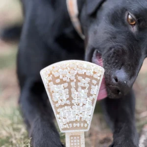 Pettz Waffle Tower 2-in-1 Nylon Chew Toy – Aggressive Chewer Enrichment