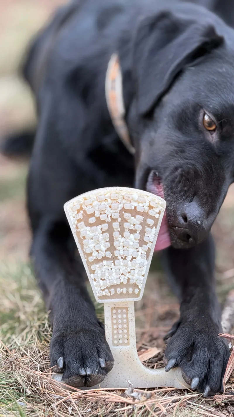 Pettz Waffle Tower 2-in-1 Nylon Chew Toy – Aggressive Chewer Enrichment