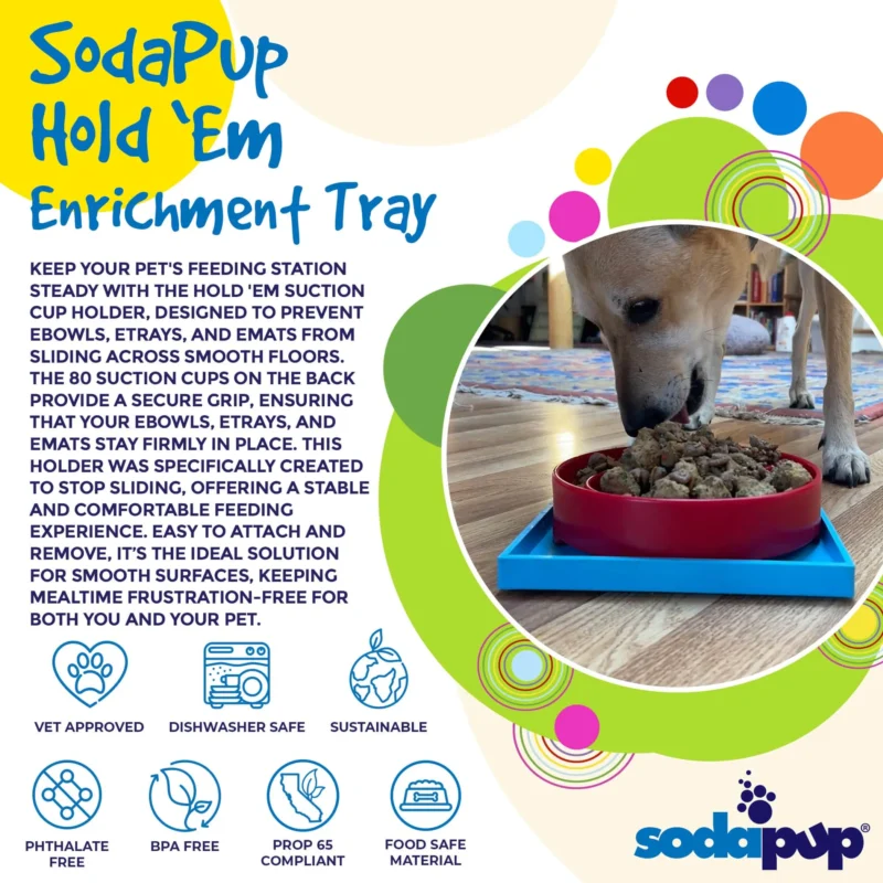 Pettz Hold-Em Suction Cup Toy Holder – Secure Play Dog Bowls & Lick Mats