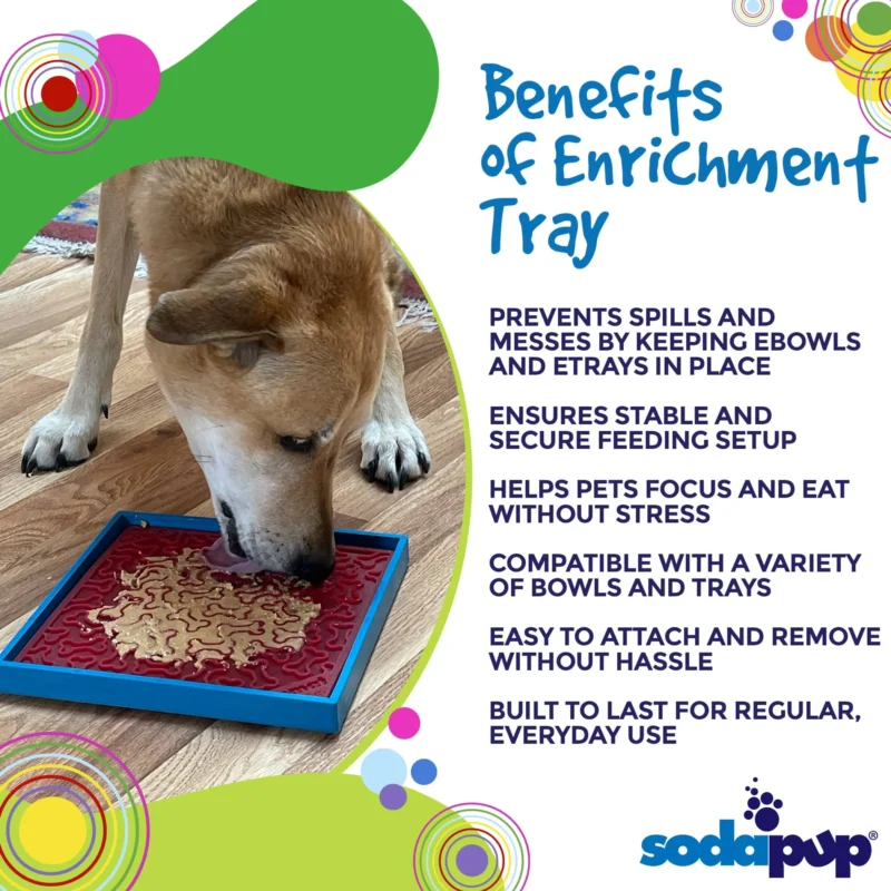 Pettz Hold-Em Suction Cup Toy Holder – Secure Play Dog Bowls & Lick Mats