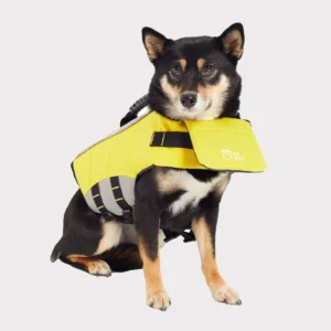 Pettz Pet Life Vest for Dogs – Safe Buoyant Adventure Jacket
