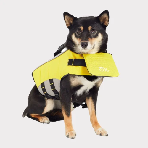 Pettz Pet Life Vest for Dogs – Safe Buoyant Adventure Jacket