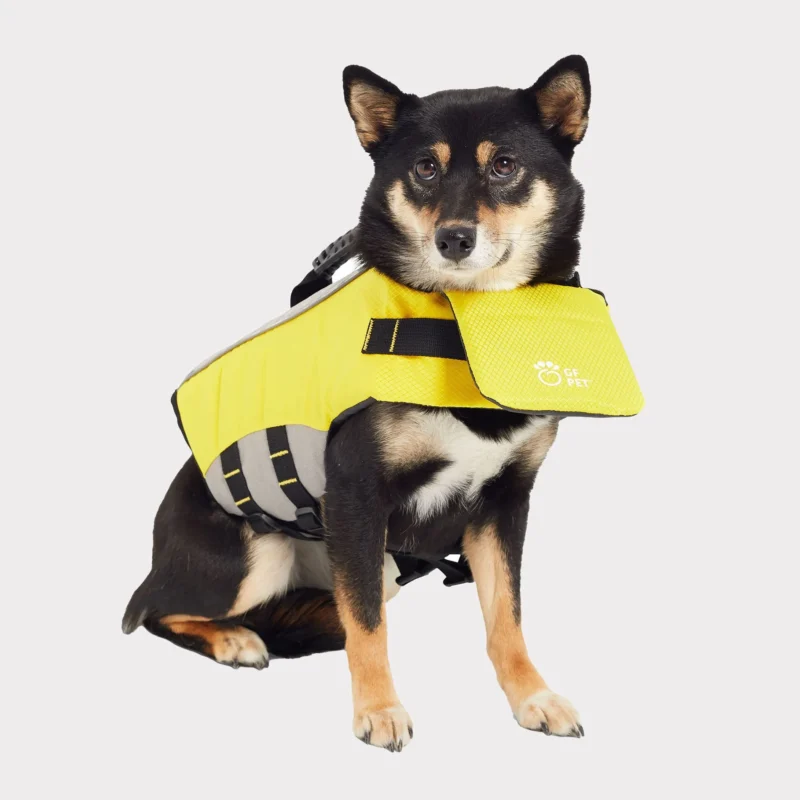 Pettz Pet Life Vest for Dogs – Safe Buoyant Adventure Jacket
