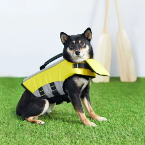 Pettz Pet Life Vest for Dogs – Safe Buoyant Adventure Jacket