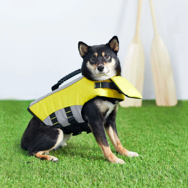 Pettz Pet Life Vest for Dogs – Safe Buoyant Adventure Jacket