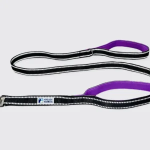 Headlight Harness Double Handle Reflective Leash