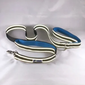 Headlight Harness Double Handle Reflective Leash