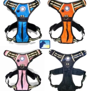 1233-sq3620514.0.td_size_1 Headlight Harness, Dog Harness with Built In LED Light
