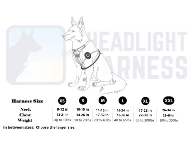 1233-sq3620514.4.td_size_1 Headlight Harness, Dog Harness with Built In LED Light