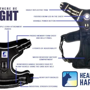 1233-sq3620514.5.td_size_1 Headlight Harness, Dog Harness with Built In LED Light