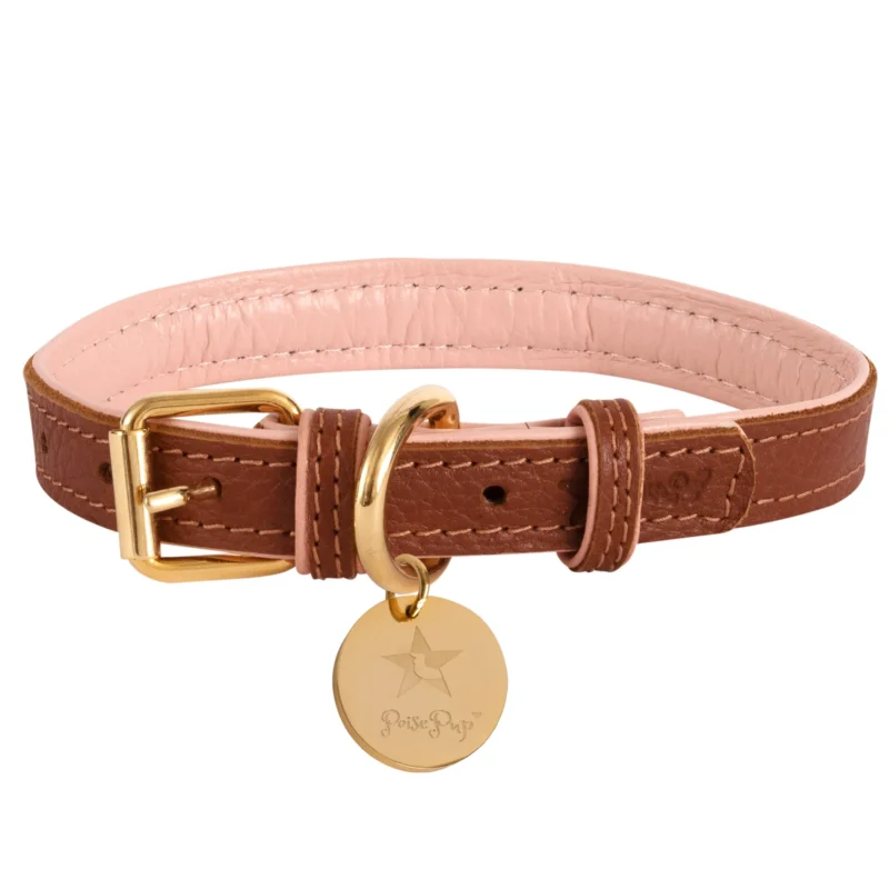 Pettz Bella Rose Dog Collar – Elegant Adjustable Pet Collar
