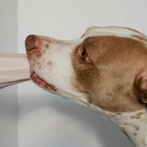 The Ubbe - Treat Filler Chew Toy Made for Easy Cleaning