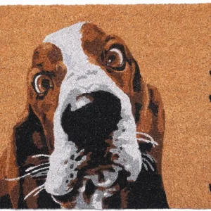 17" X 29" Natural And Red Coir Dog Outdoor Door Mat