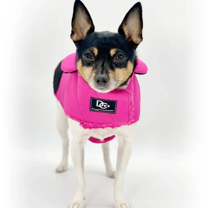 2299-DCNY-WR-PB-XXS.0.td_size_1 DoggieCoutureNY Water Resistant Coat