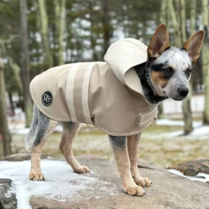 DCNY Sport Luxe Hooded Raincoat