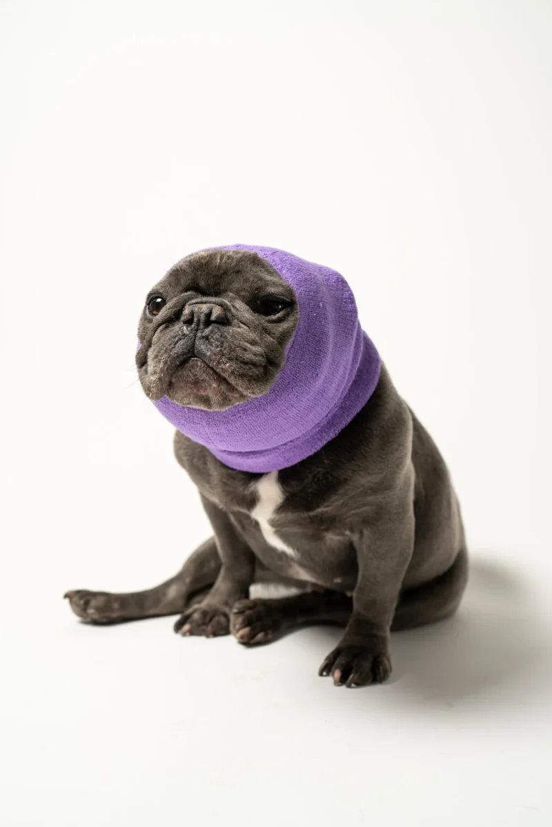 Pet Hoodz Dog Hoodies for Anxiety
