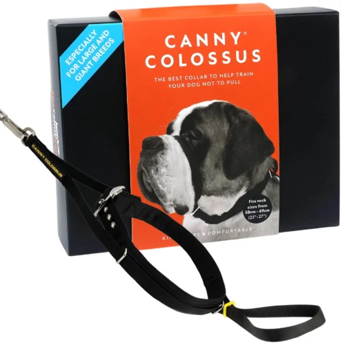 Pettz Canny Colossus No Pull Dog Head Collar – Gentle Humane Training Aid