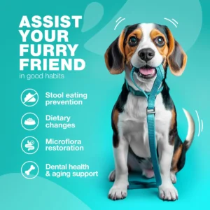 No Poo Chews for Dogs
