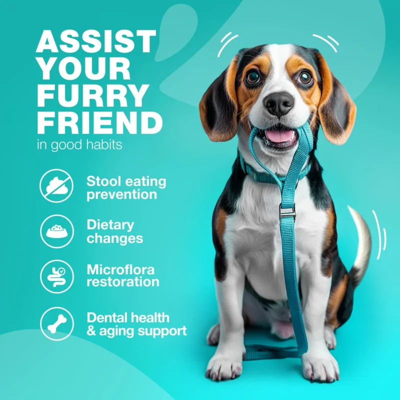 No Poo Chews for Dogs