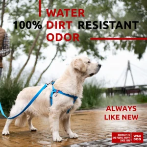 Waterproof Adjustable Dog Harness – Heavy Duty for Medium & Large Dogs (L)