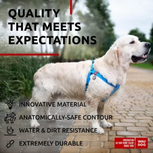 Waterproof Adjustable Dog Harness – Heavy Duty for Medium & Large Dogs (L)