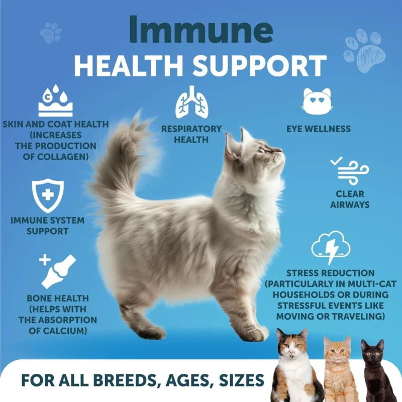 3145-JM91BJC1Y.1.td_size_1 L Lysine for Cats Lysine Powder Supplement