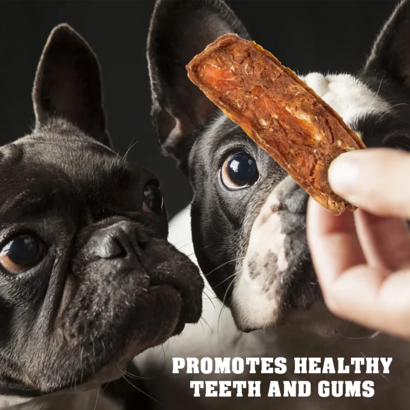 Chicken Jerky Dog Treats (Variant B)