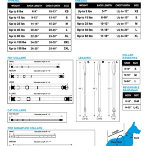 Pettz Texas Tee Shirt
