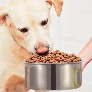 Stainless Steel Dog Bowl Pets Hanging Food Bowl