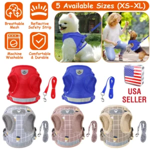 Pet Mesh Harness Dog Leash Set (Variant B)