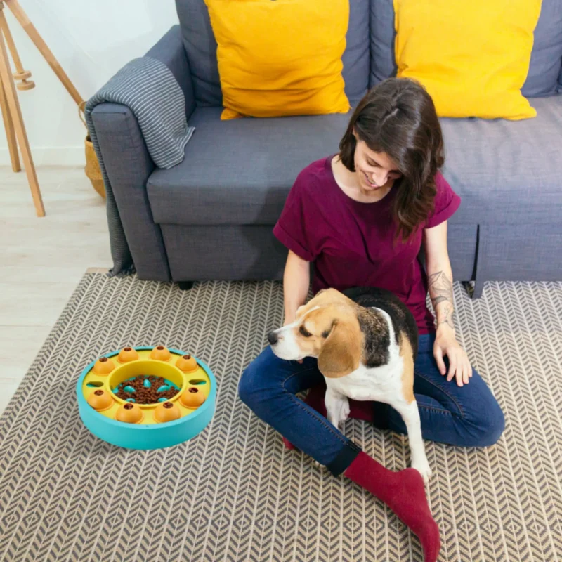 Dog Puzzle Food Feeder Slow Feeding Bowl