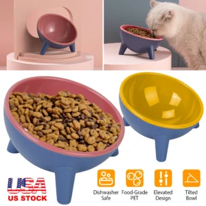 Raised Tilted Elevated Cat Food Bowl Pet