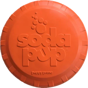Pettz Bottle Top Flyer Durable Rubber Retrieving Frisbee