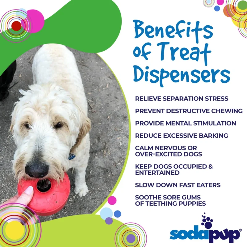 56-810216023171.4.td_size_1 Life Ring eDispener Durable Rubber Chew Toy & Treat Dispenser