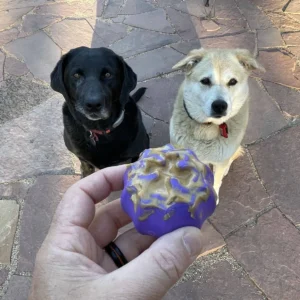 56-MKBT-XB2-500.4.td_size_1 Cross Bones Chew Toy and Treat Pocket