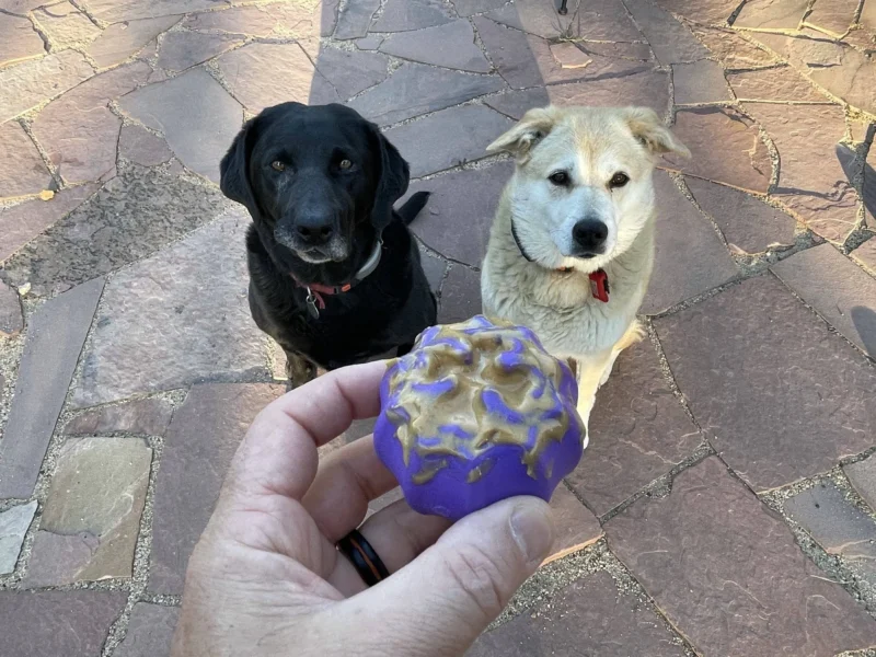 56-MKBT-XB2-500.4.td_size_1 Cross Bones Chew Toy and Treat Pocket