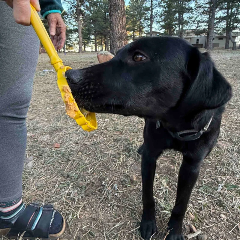 56-SPPP-LSBH-700.2.td_size_1 eStick Hand-Held Dog Enrichment Toy - Interactive Lick Stick