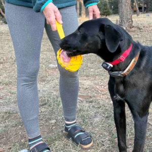 56-SPPP-LSBH-700.4.td_size_1 eStick Hand-Held Dog Enrichment Toy - Interactive Lick Stick