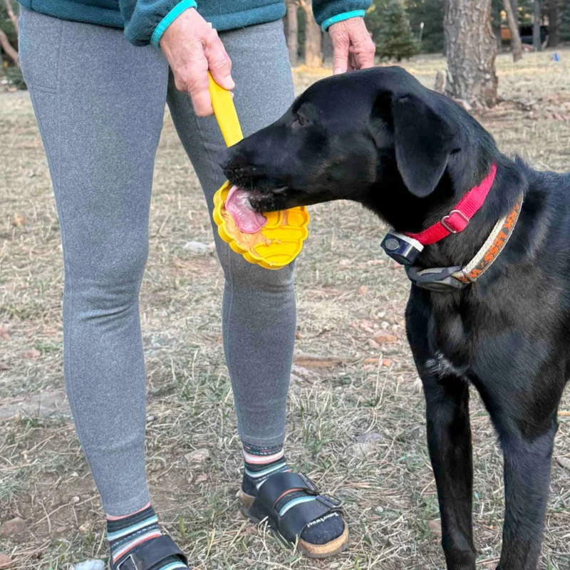 56-SPPP-LSBH-700.4.td_size_1 eStick Hand-Held Dog Enrichment Toy - Interactive Lick Stick