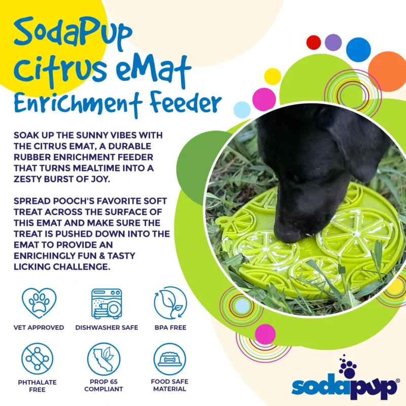 56-SPT-EMCIT-301.1.td_size_1 Citrus Design eMat - Enrichment Lick Mat For Dogs and Cats