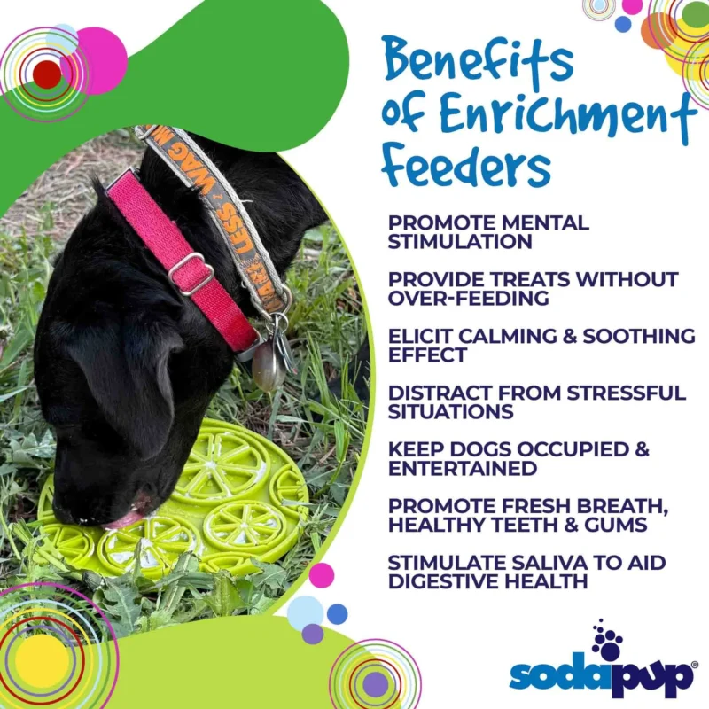 56-SPT-EMCIT-301.2.td_size_1 Citrus Design eMat - Enrichment Lick Mat For Dogs and Cats