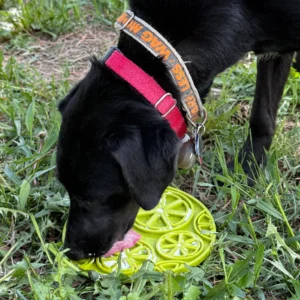 56-SPT-EMCIT-301.4.td_size_1 Citrus Design eMat - Enrichment Lick Mat For Dogs and Cats