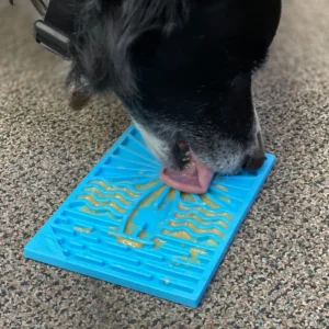 Surf's Up eMat - Small Lickmat for Dogs and Cats | Beach-Themed Design