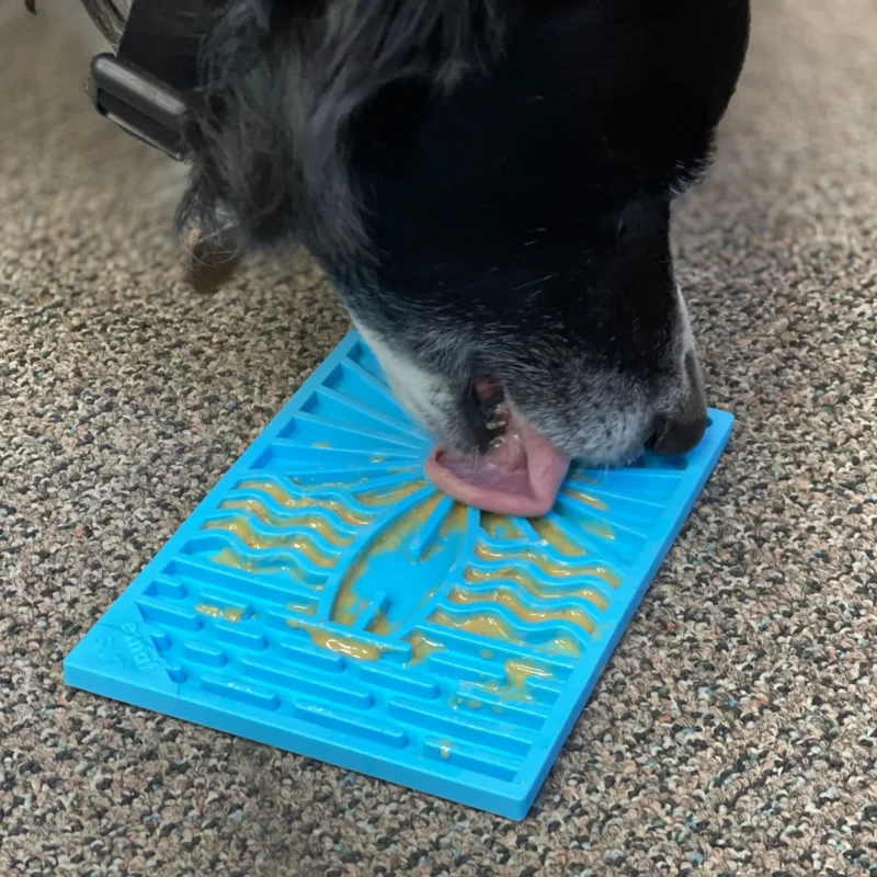 Surf's Up eMat - Small Lickmat for Dogs and Cats | Beach-Themed Design